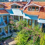 Yeni Doga * داليان