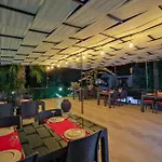 Yeni Doga داليان