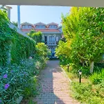 Yeni Doga داليان