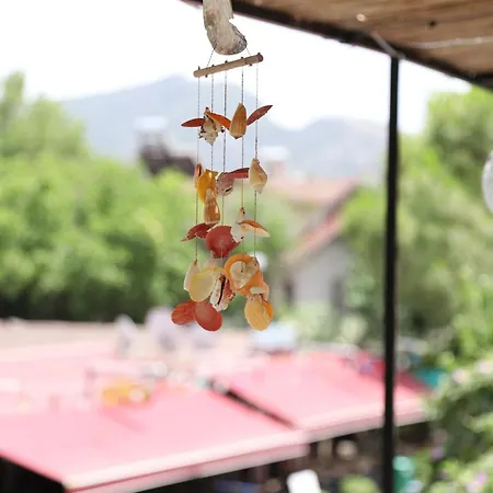 Garden Bloom * Дальян