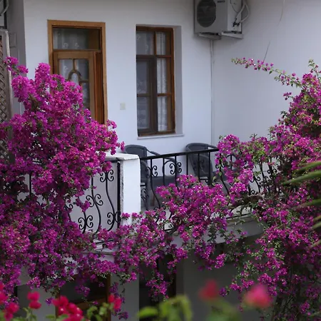 Yeni Doga فندق داليان