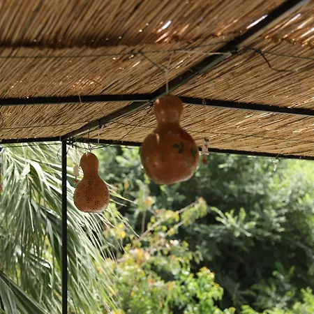 Garden Bloom מלון דליאן