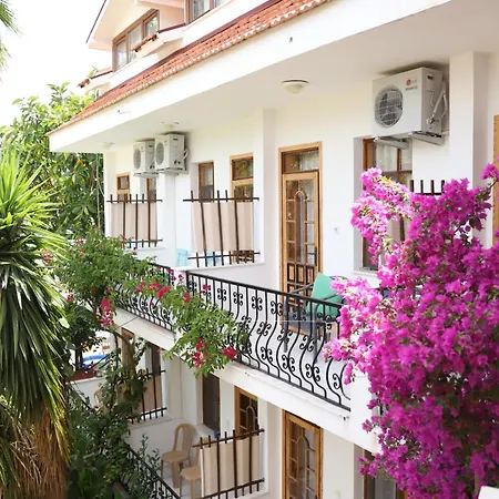 Yeni Doga * 달리안