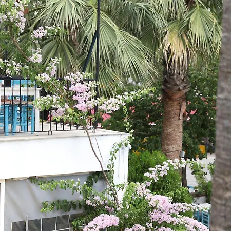 Отель Garden Bloom Дальян