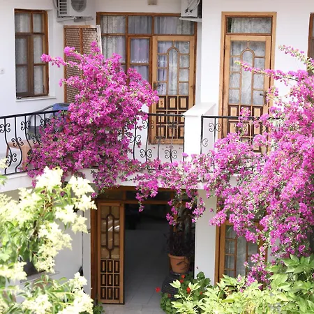 Garden Bloom Дальян