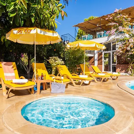 Garden Bloom Дальян