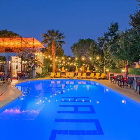 Yeni Doga * داليان