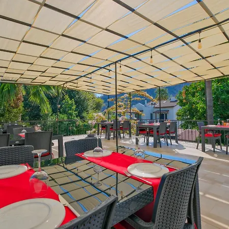 Yeni Doga * داليان