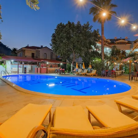 Yeni Doga داليان