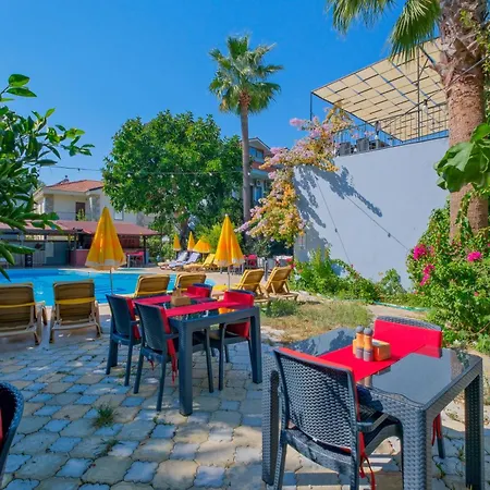 Yeni Doga داليان