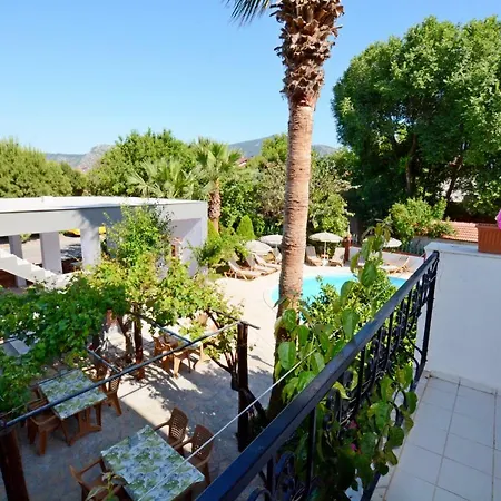 Yeni Doga * 달리안