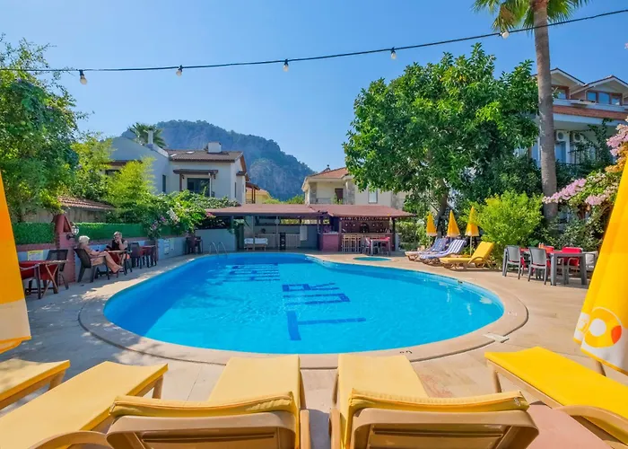 Отель Yeni Doga *