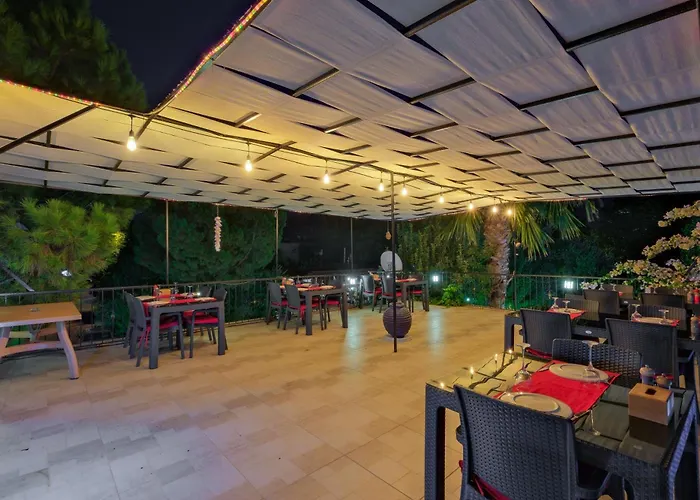 Yeni Doga Дальян