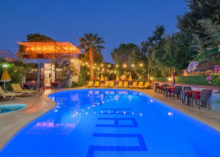 Yeni Doga * Дальян