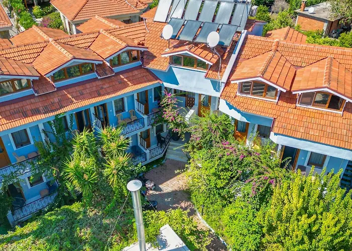 Yeni Doga Дальян