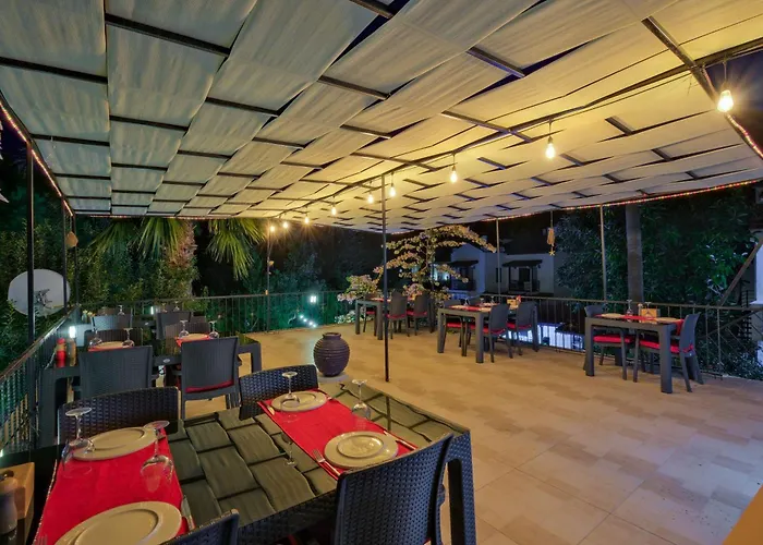 Yeni Doga Дальян