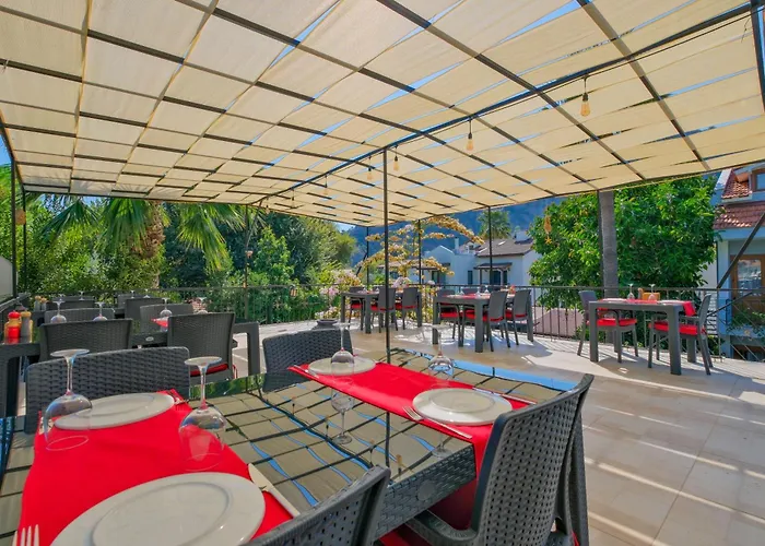 Yeni Doga * Дальян